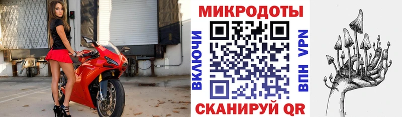 магазин наркотиков Устюжна Галлюциногенные грибы прущие грибы